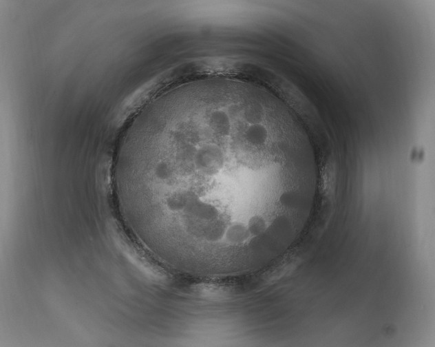 X0000111220733200907021334