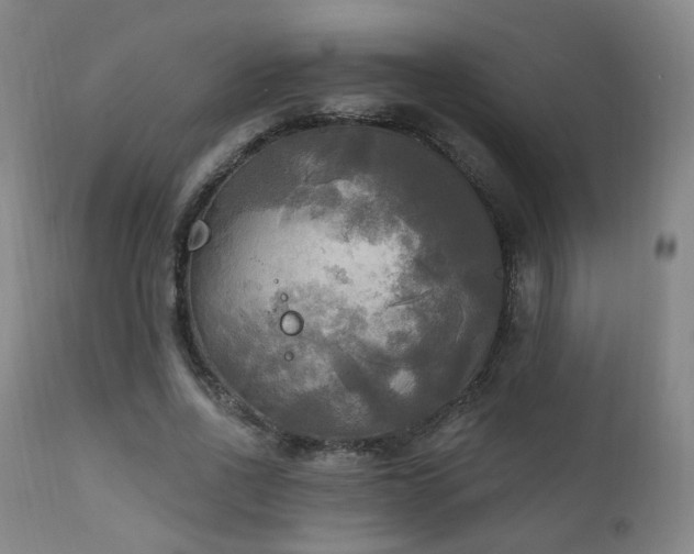 X0000111220734200907021334
