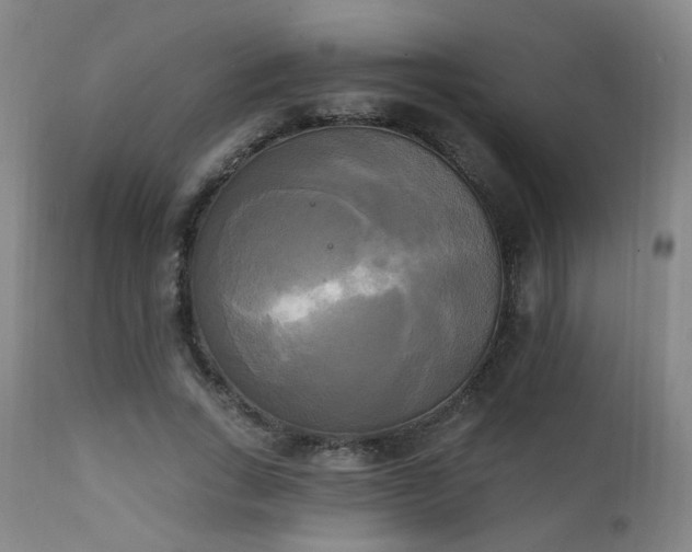 X0000111220735200907021334