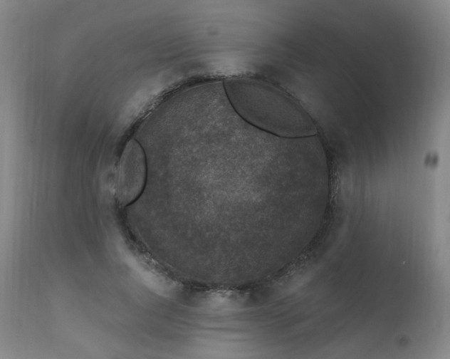 X0000111220736200907021334