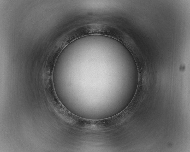 X0000111220737200907021334