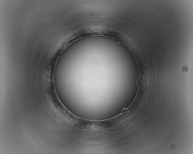 X0000111220739200907021334
