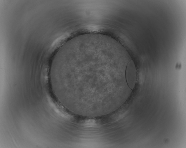 X0000111220740200907021334