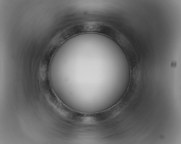 X0000111220741200907021334