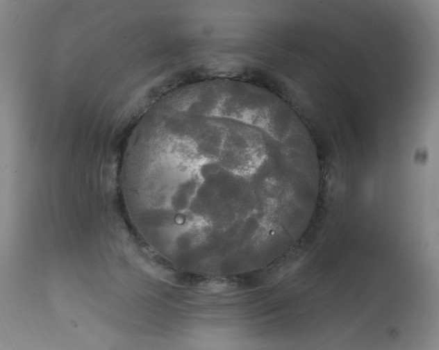 X0000111220745200907021334