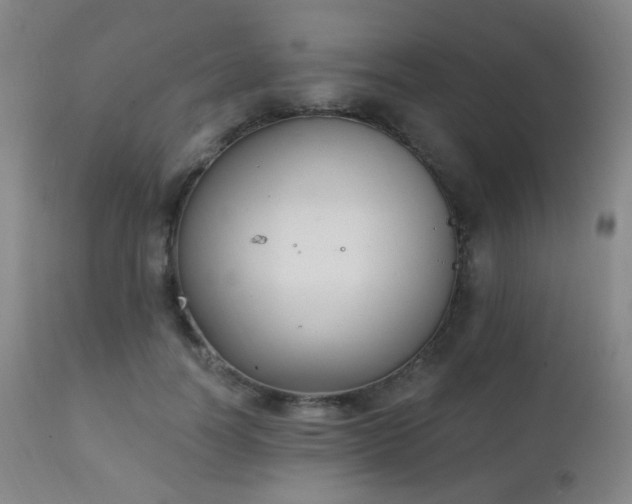 X0000111220746200907021334