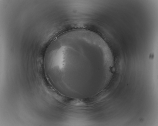 X0000111220747200907021334