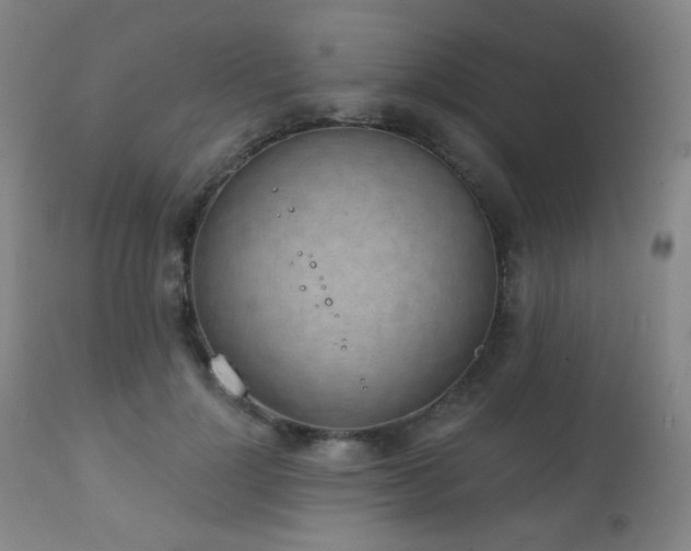 X0000111220748200907021334