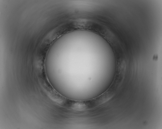 X0000111220749200907021334