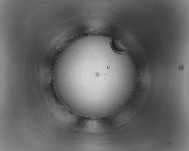 X0000111220751200907021334