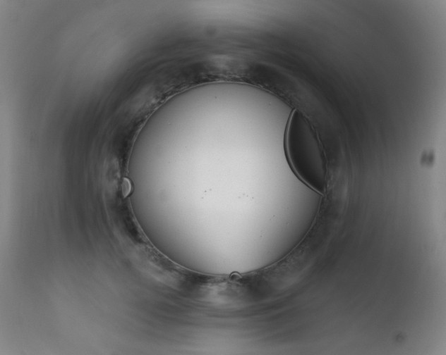 X0000111220752200907021334