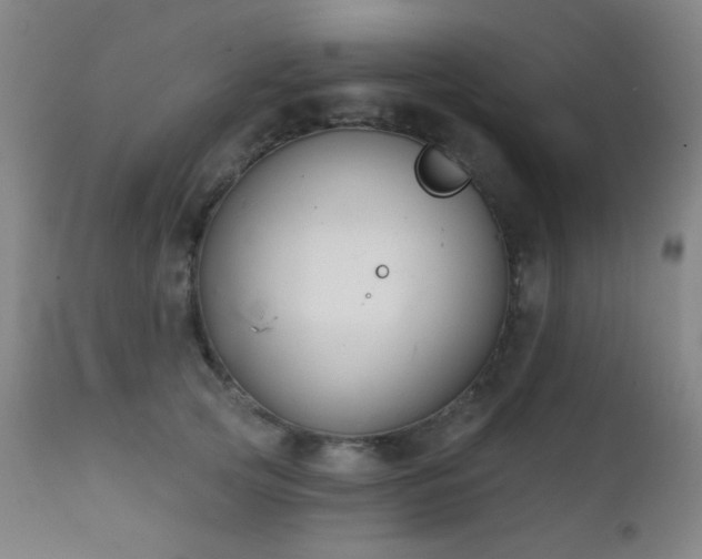 X0000111220753200907021334
