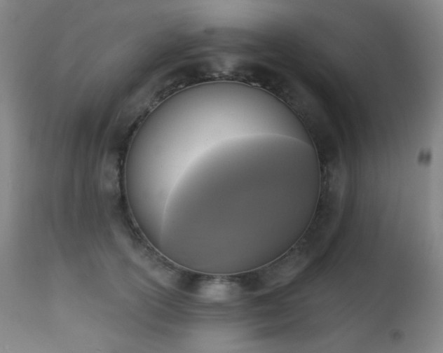 X0000111220754200907021334