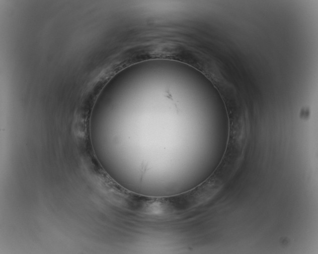 X0000111220755200907021334