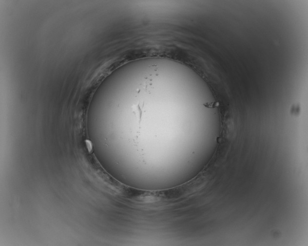 X0000111220756200907021334