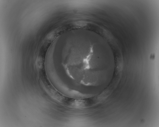 X0000111220758200907021334