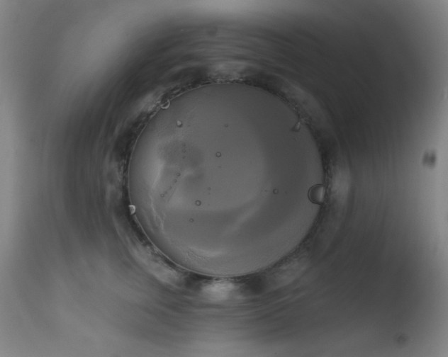 X0000111220759200907021334