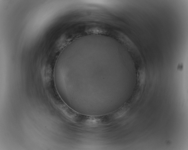 X0000111220760200907021334