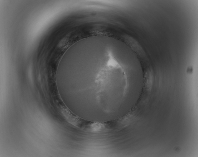 X0000111220762200907021334