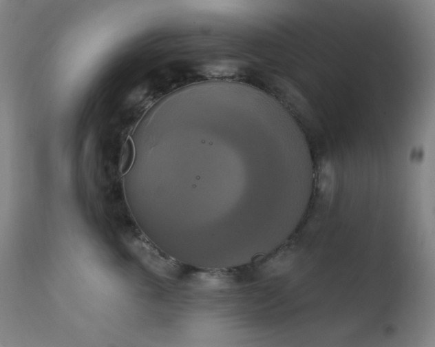 X0000111220763200907021334
