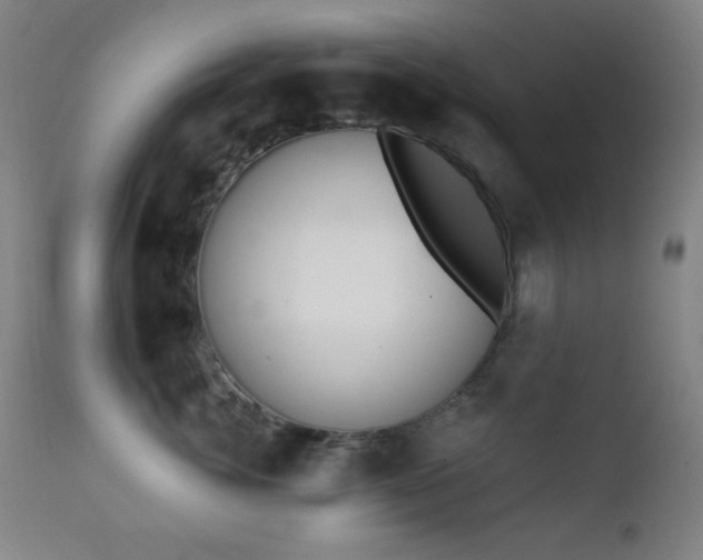 X0000111220764200907021334