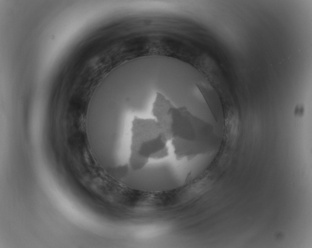 X0000111220765200907021334