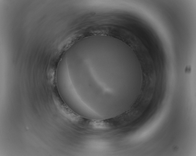 X0000111220767200907021334