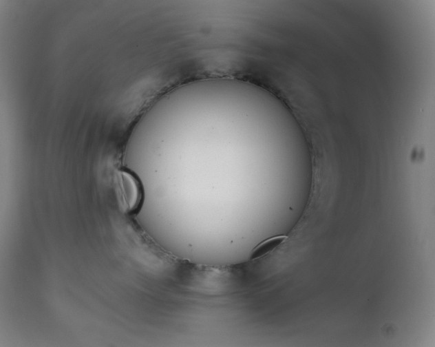 X0000111220768200907021334