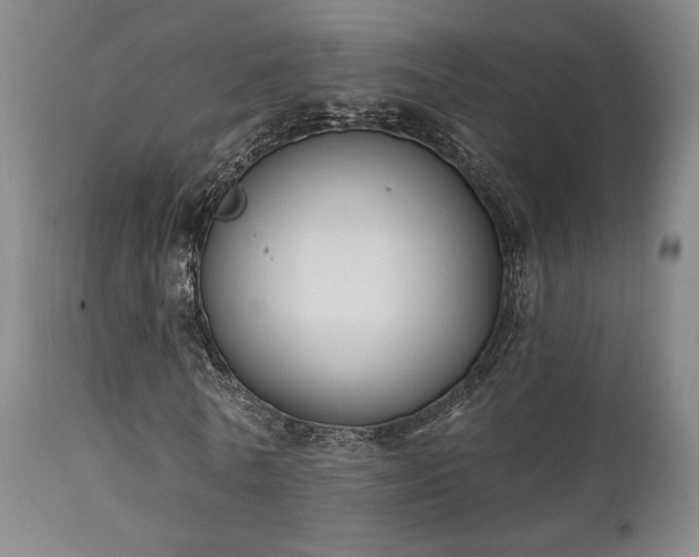 X0000111220770200907021334