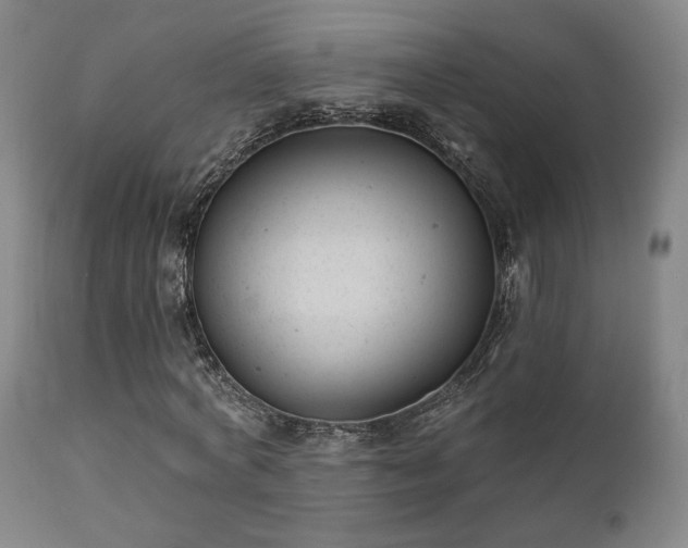 X0000111220772200907021334