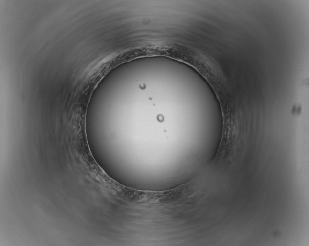 X0000111220773200907021334