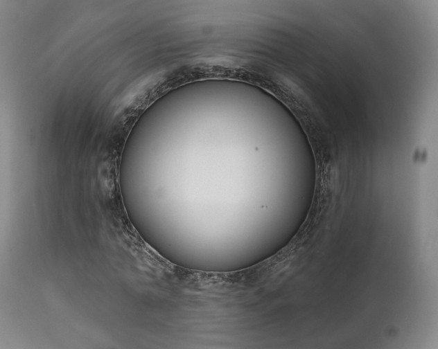X0000111220774200907021334