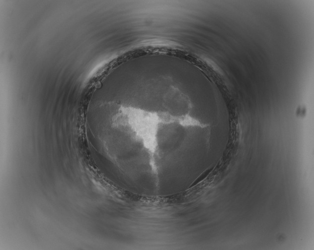 X0000111220775200907021334
