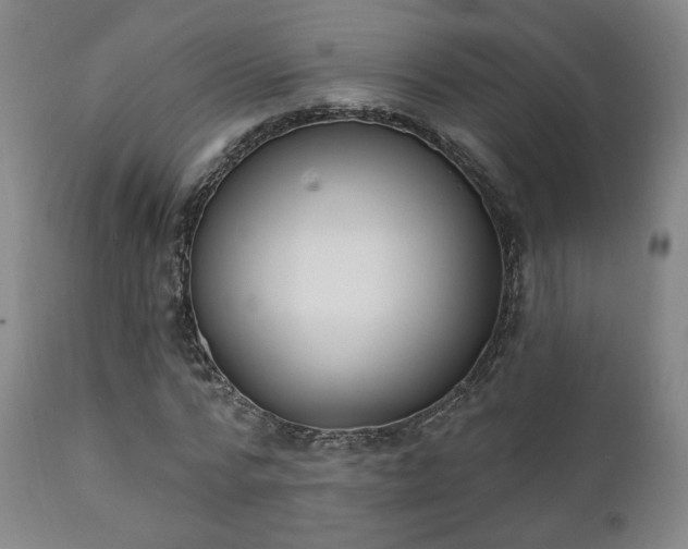 X0000111220776200907021334