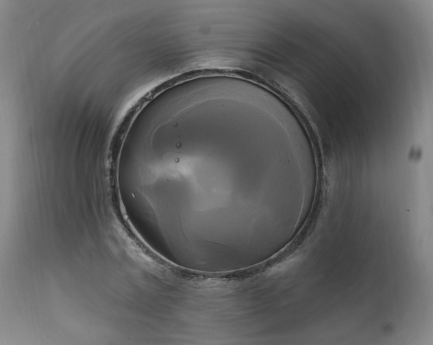 X0000111220779200907021333