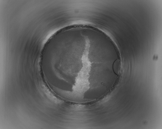 X0000111220783200907021333