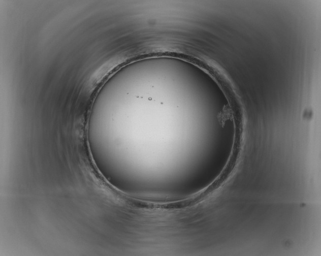 X0000111220785200907021333