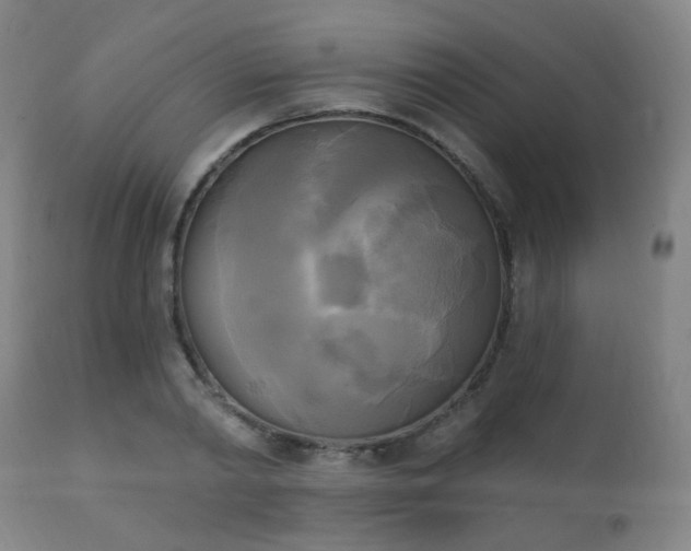X0000111220790200907021333