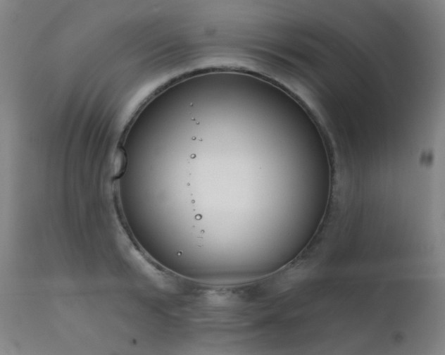 X0000111220799200907021333