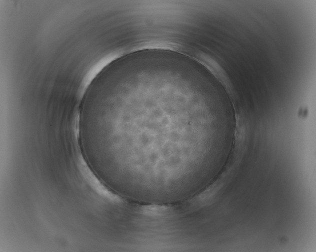 X0000111220804200907021333