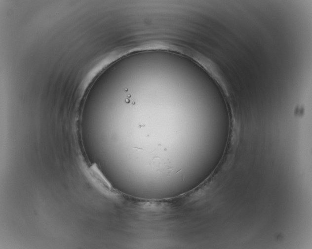 X0000111220805200907021333