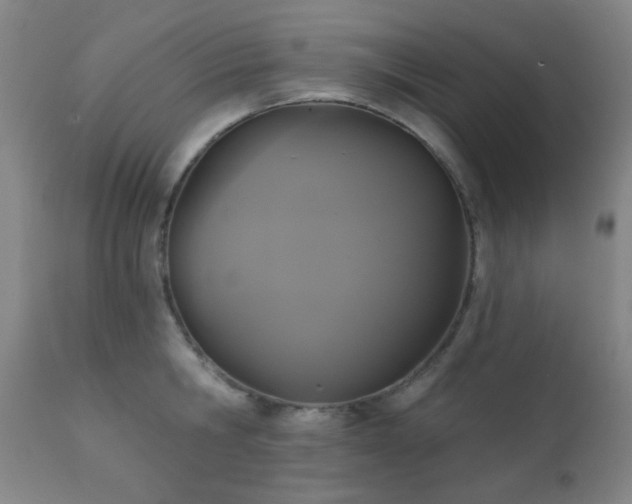 X0000111220806200907021333