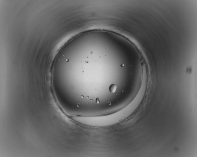 X0000111220807200907021333