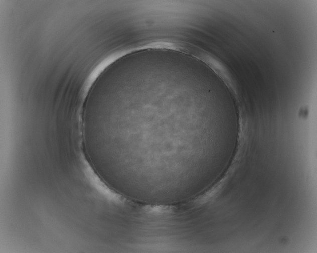 X0000111220808200907021333
