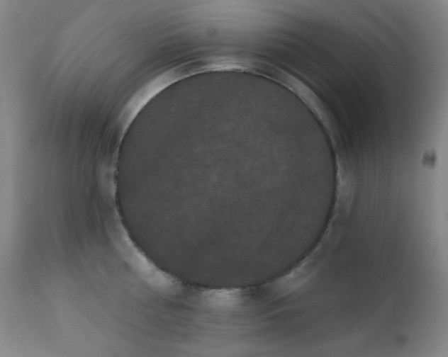 X0000111220810200907021333