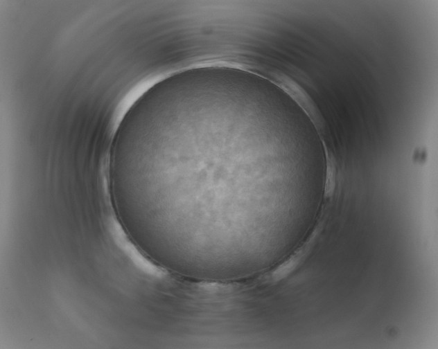 X0000111220812200907021333