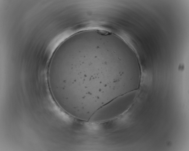 X0000111220813200907021333