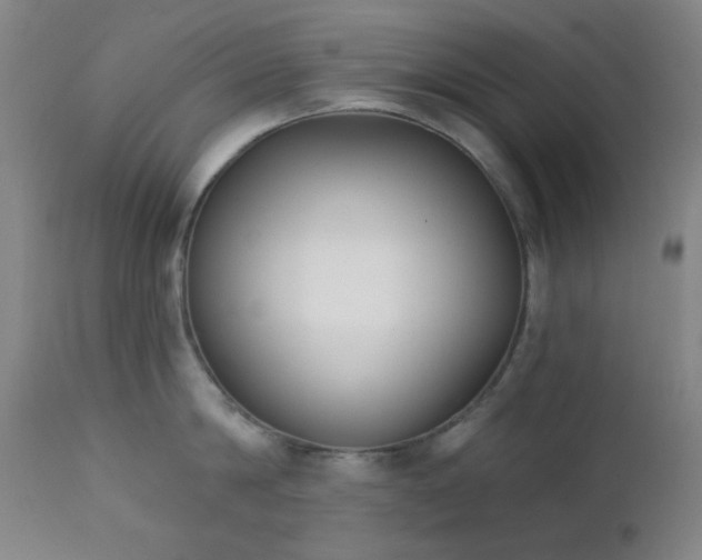 X0000111220814200907021333