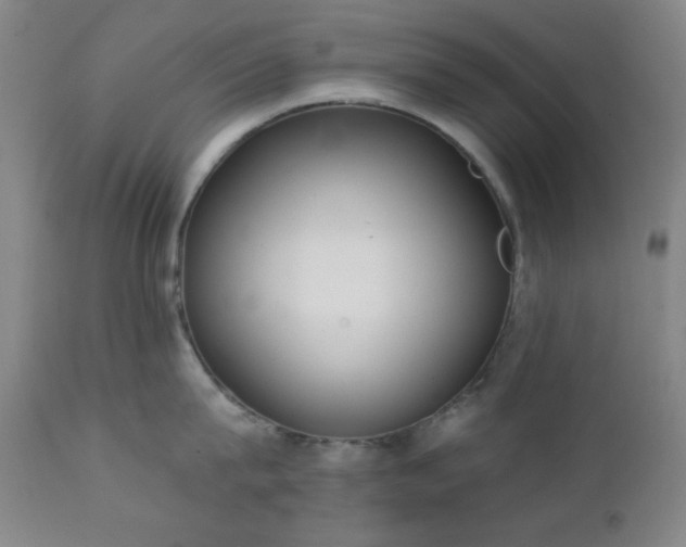 X0000111220815200907021333