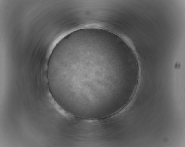 X0000111220816200907021333